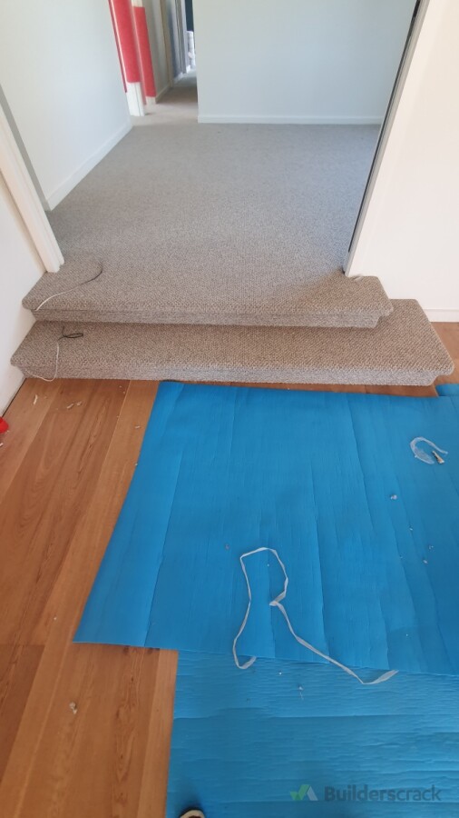 Upholstered steps in Andes peak nylon loop carpet