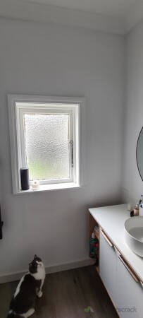Bathroom renovation before ft cat