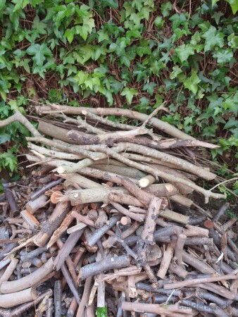 Branches from trees cut to size and left on site as per customer request