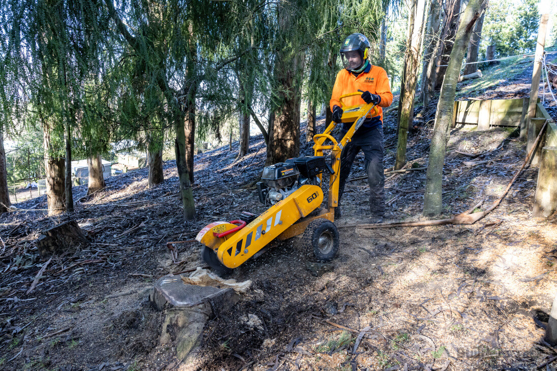 Stump Grinding