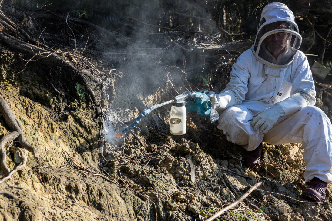 Wasp Nest Extermination