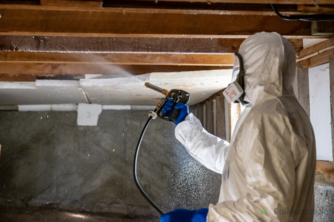 Borer Treatment & Insulation Removal