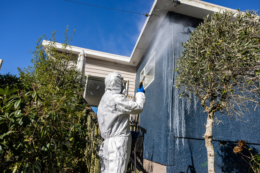 Spider Spraying