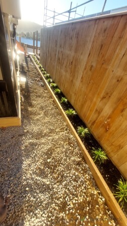 Planter and fence we built