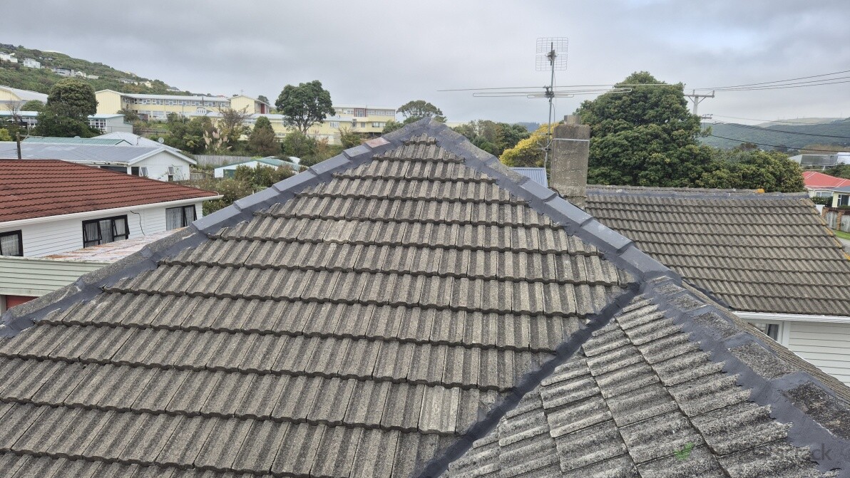 Repair/repoint of concrete tile roof