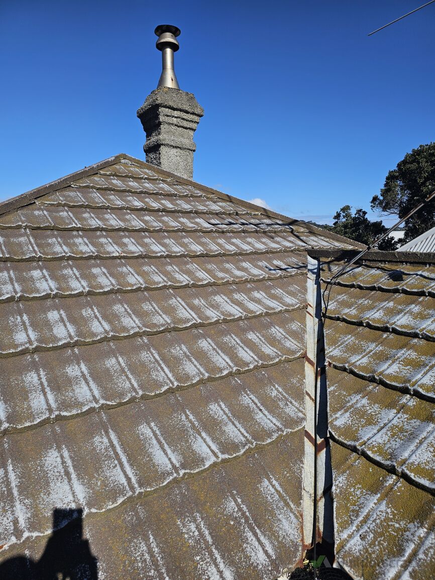 Decromastic roof re-coating and fix leak (#1324982) | Builderscrack