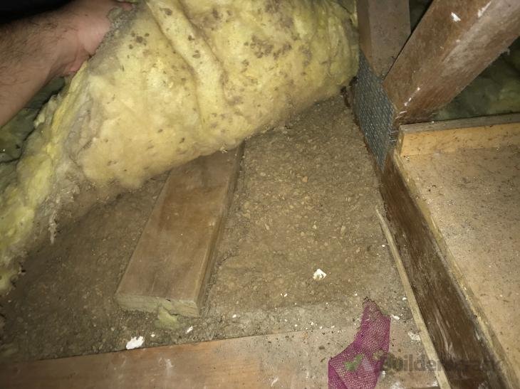 Insulfluff Removal ( 235742) Builderscrack