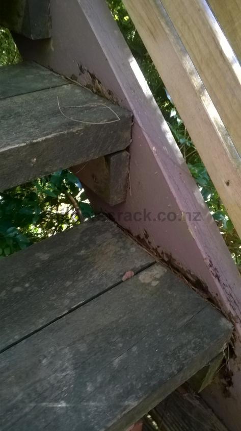 Replacing Rotten Stringers Repair rotting stringer on outdoor stairs (#58779) | Builderscrack