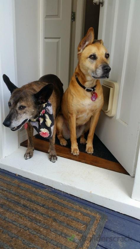 Job #251039 Job #251039