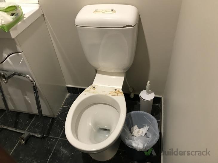 Install a new replacement toilet ( 264886) Builderscrack