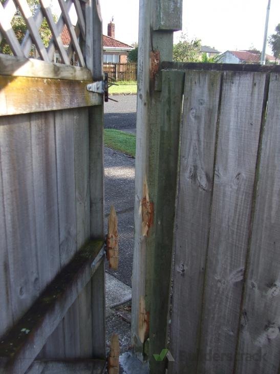 Replace gate. ( 271116) Builderscrack