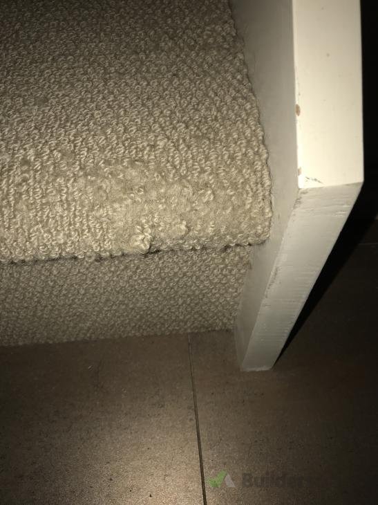 cat scratching stairs