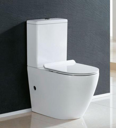 Rimless back to wall Toilet Special supplied and installed. *Conditions apply.