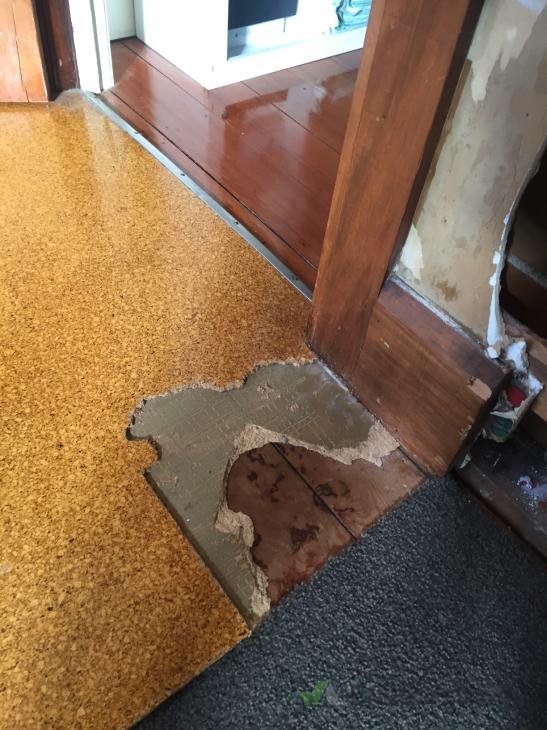 Cork Floor Removal 289481 Builderscrack