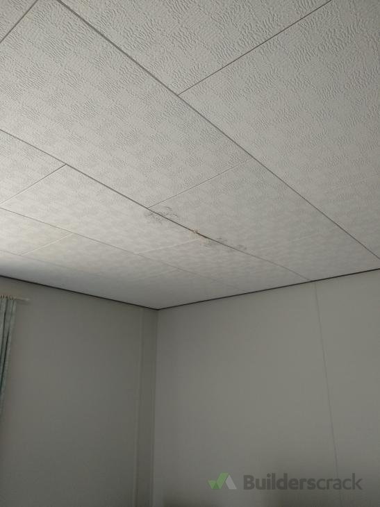 Ceiling Tile Repair 290806 Builderscrack