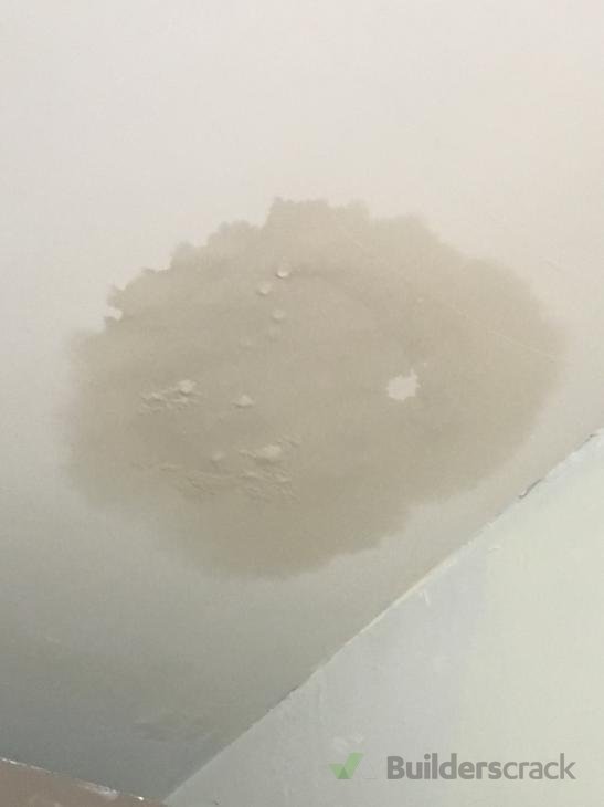 Leak Onto Kitchen Ceiling 296919 Builderscrack