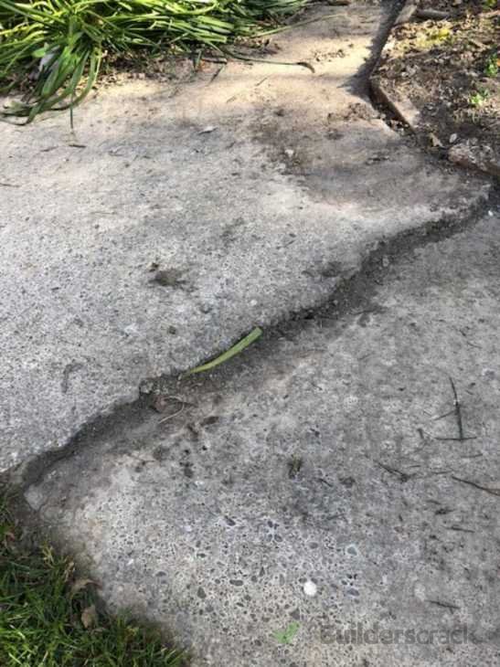 Concrete Path (# 300843) | Builderscrack