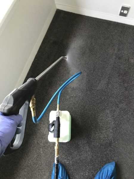 Prespray carpet cleaning  www.3plestar.nz