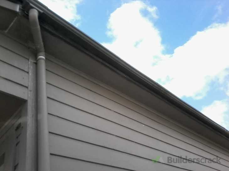 New fascia, bird proofing and gutters ( 315789) Builderscrack