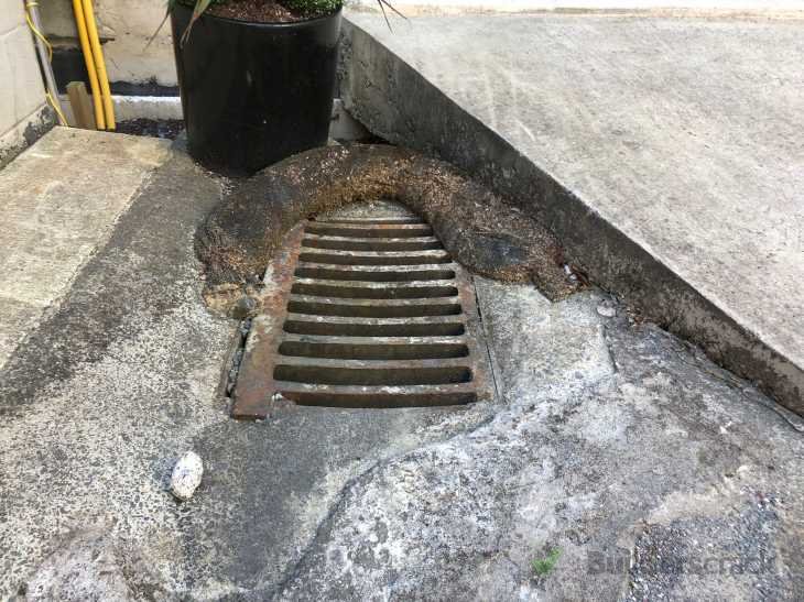 Drain riser (# 318060) | Builderscrack