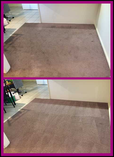 Carpet cleaning www.3plestar.nz