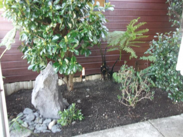 Zen Garden outside Acupuncture Clinic