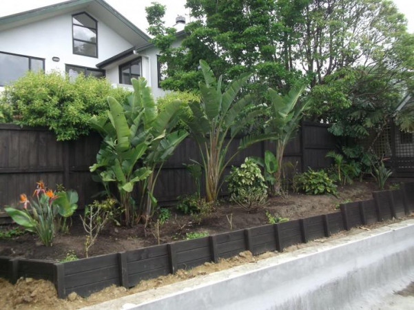 Subtropical Garden in Westmere