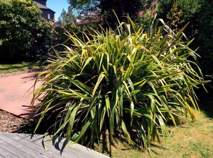 Trades › Gardening › Christchurch › Jobs Builderscrack