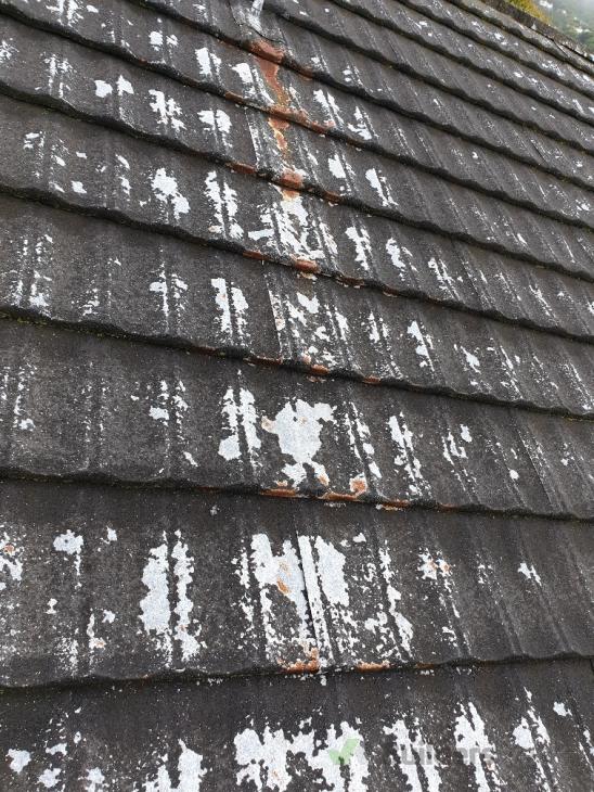 Painting decramastic roof ( 338263) Builderscrack