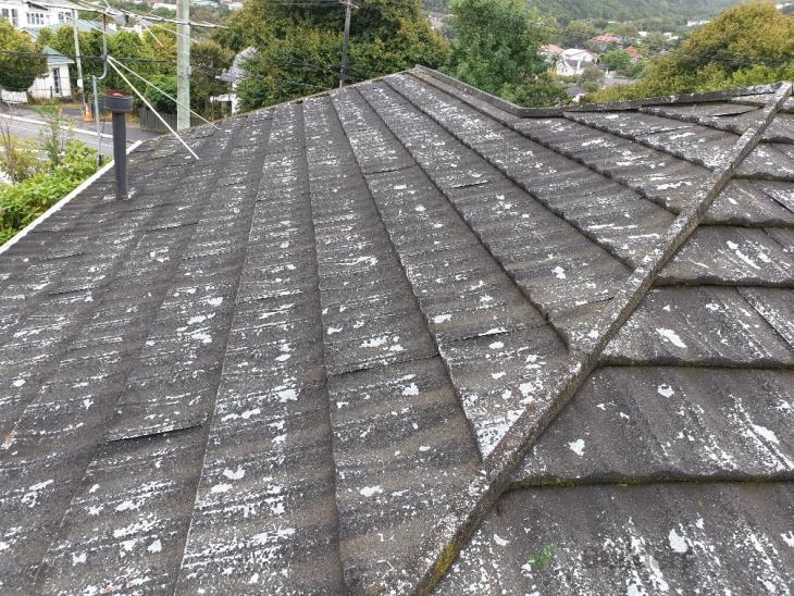 Painting decramastic roof ( 338263) Builderscrack