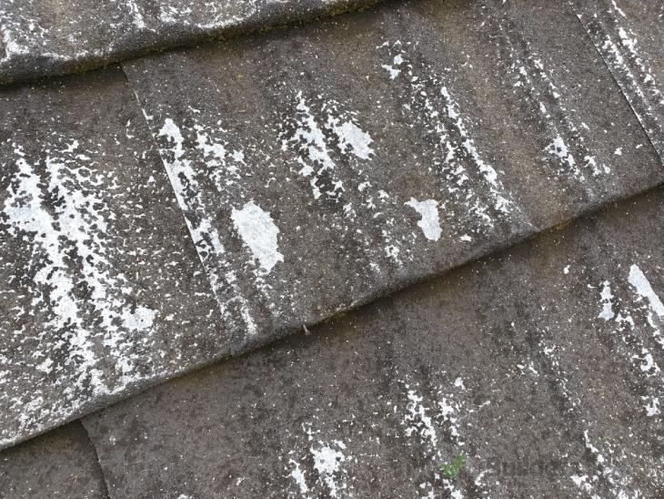 Painting decramastic roof ( 338263) Builderscrack