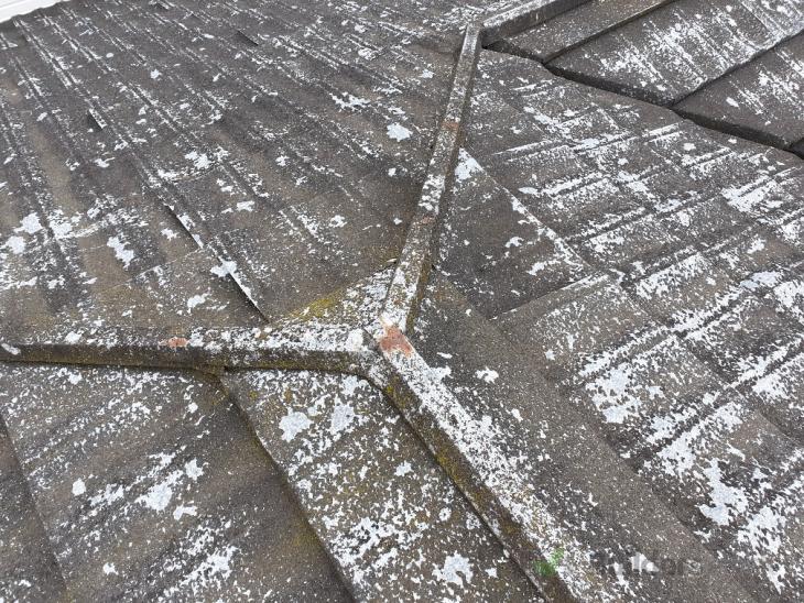 Painting decramastic roof ( 338263) Builderscrack