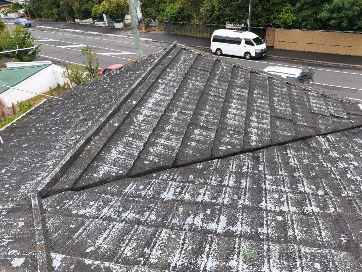 Painting decramastic roof ( 338263) Builderscrack