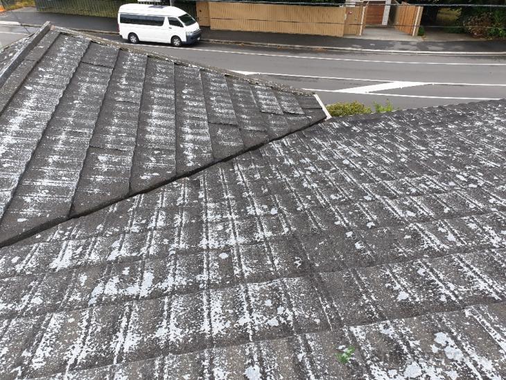 Painting decramastic roof ( 338263) Builderscrack