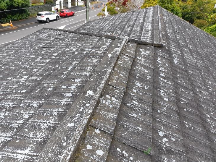 Painting decramastic roof ( 338263) Builderscrack