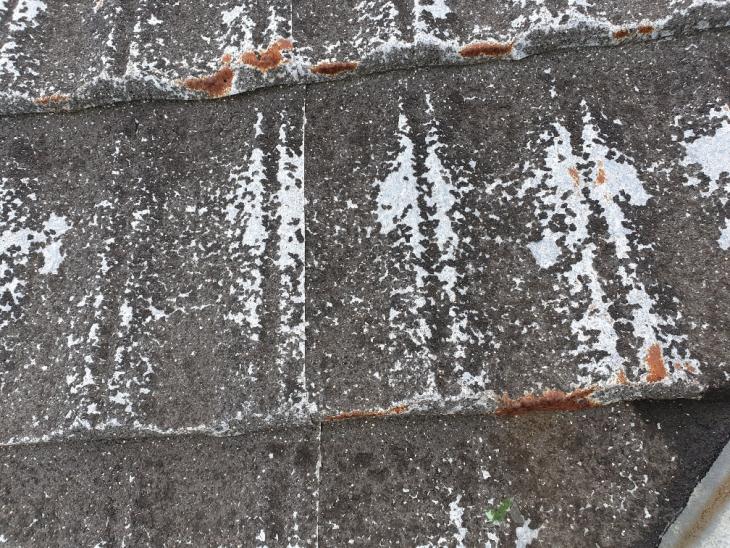 Painting decramastic roof ( 338263) Builderscrack