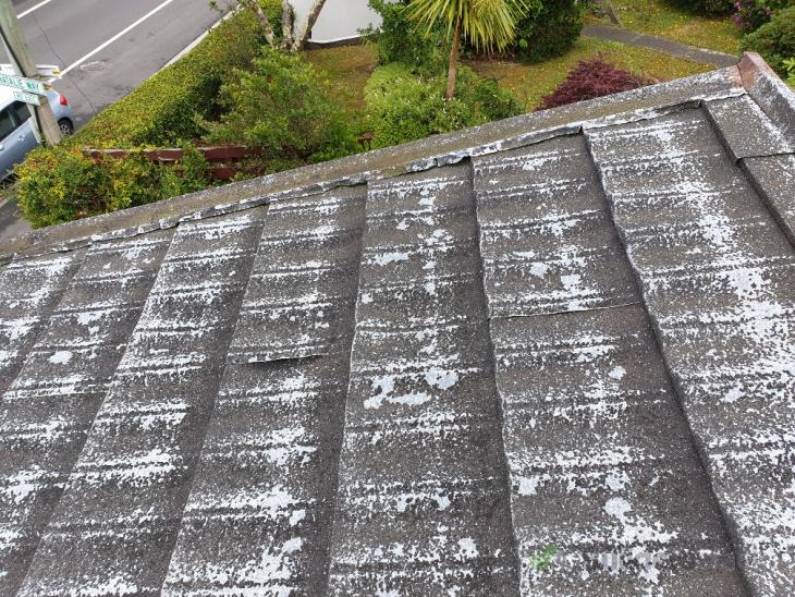 Painting decramastic roof ( 338263) Builderscrack