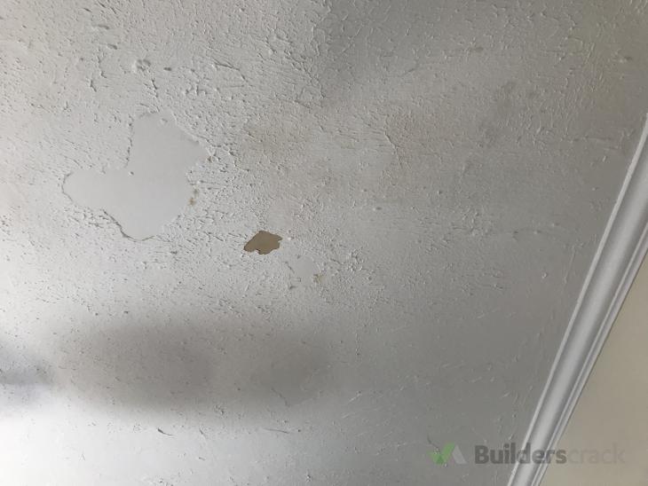 Textured Ceiling Removal Asbestos On Gib 338297