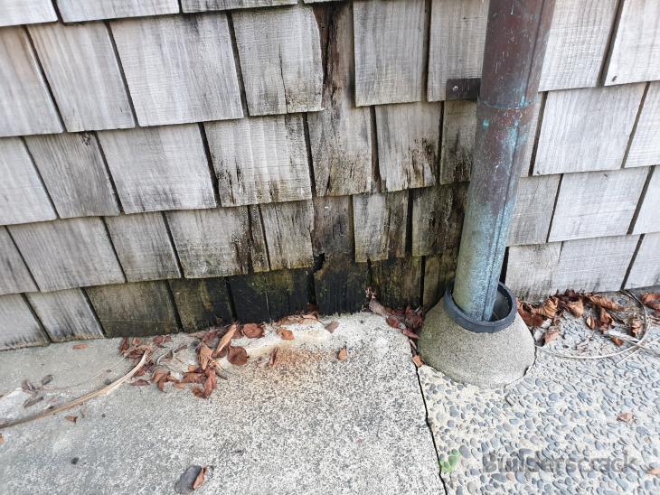 Shingle repairs ( 343104) Builderscrack