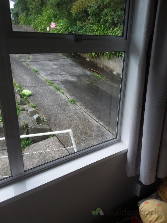 Install cat door in single glazed door or window ( 350482) Builderscrack