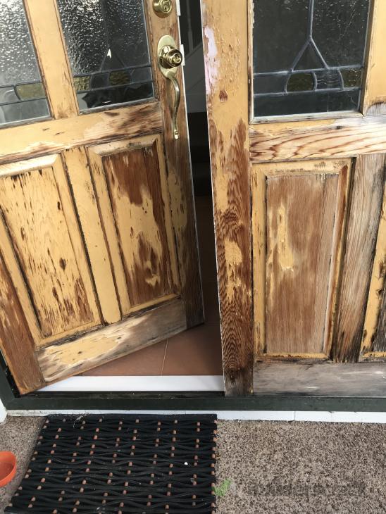 Cat door ( 371380) Builderscrack