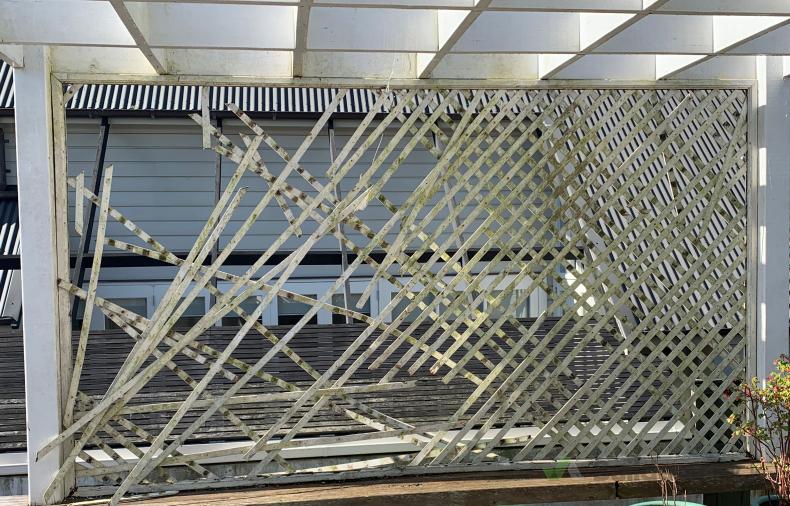 Trellis ( 382464) Builderscrack