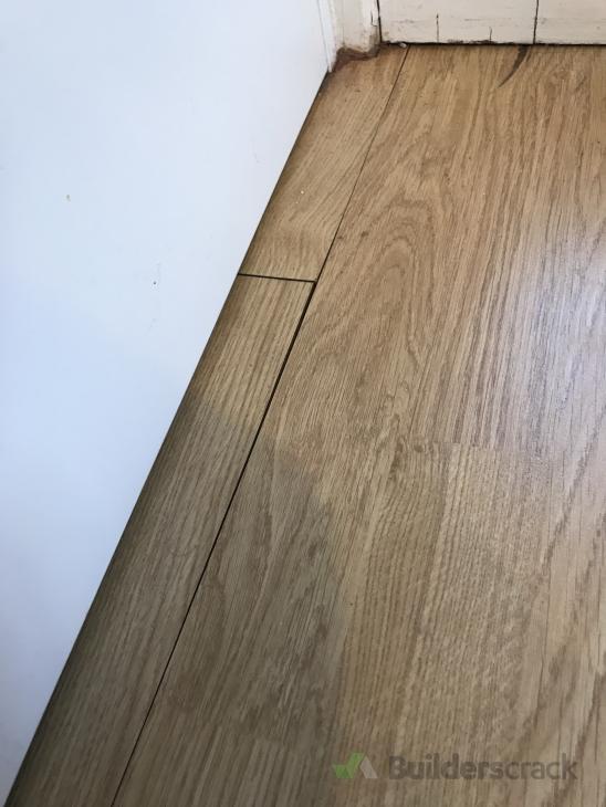 Floor leveling and Vinyl Floor replacement ( 388226) Builderscrack