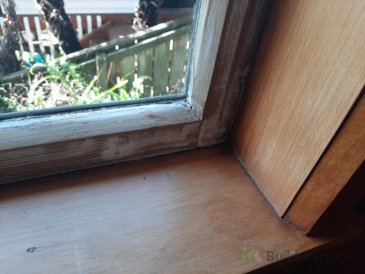 Window frame painting. ( 393847) Builderscrack