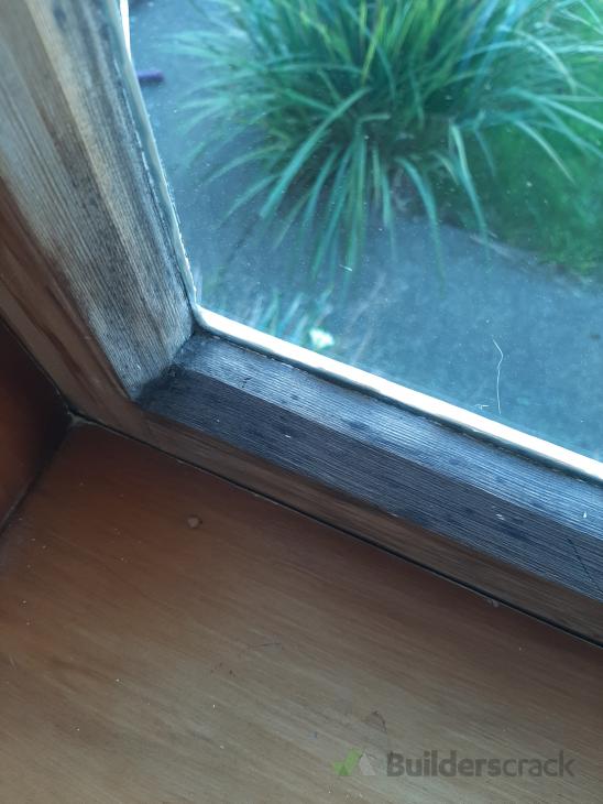 Window frame painting. ( 393847) Builderscrack