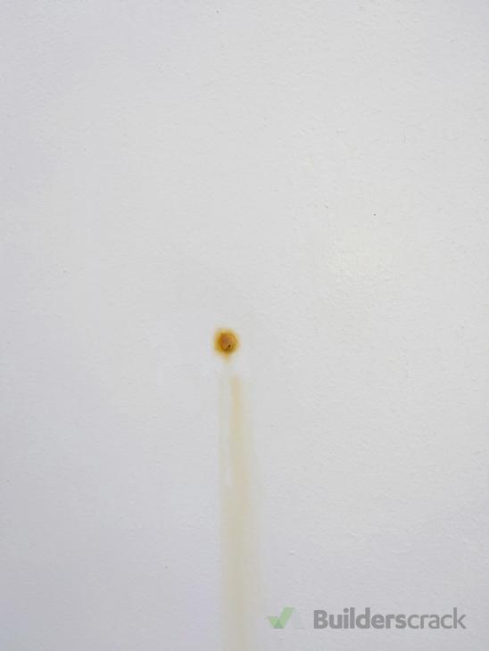 Treat rusty nail heads ( 398608) Builderscrack