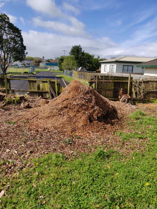 Mulch removal and disposing ( 399884) Builderscrack