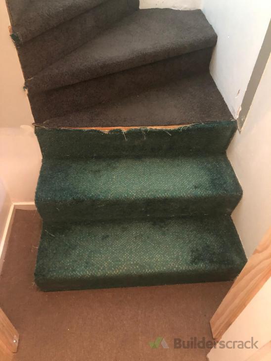 Replace old section of carpet ( 412952) Builderscrack