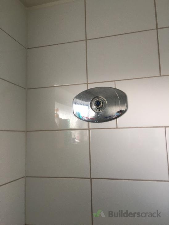 Shower cold water not working (broken adjuster) ( 414969
