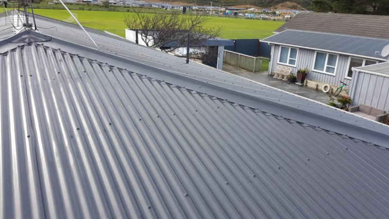 Roof Painting in Wainuiomata